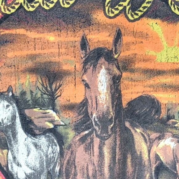 American Highway Wild West Crop Fringe Graphic T - Picture 6 of 7